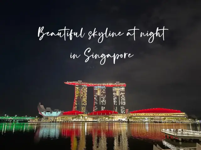 🇸🇬Beautiful Singapore’s skyline at night🌃✨