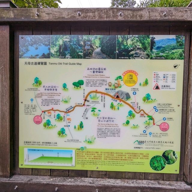陰涼好走的天母古道