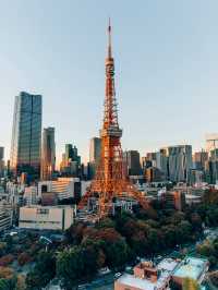 Hotel with the best view of Tokyo