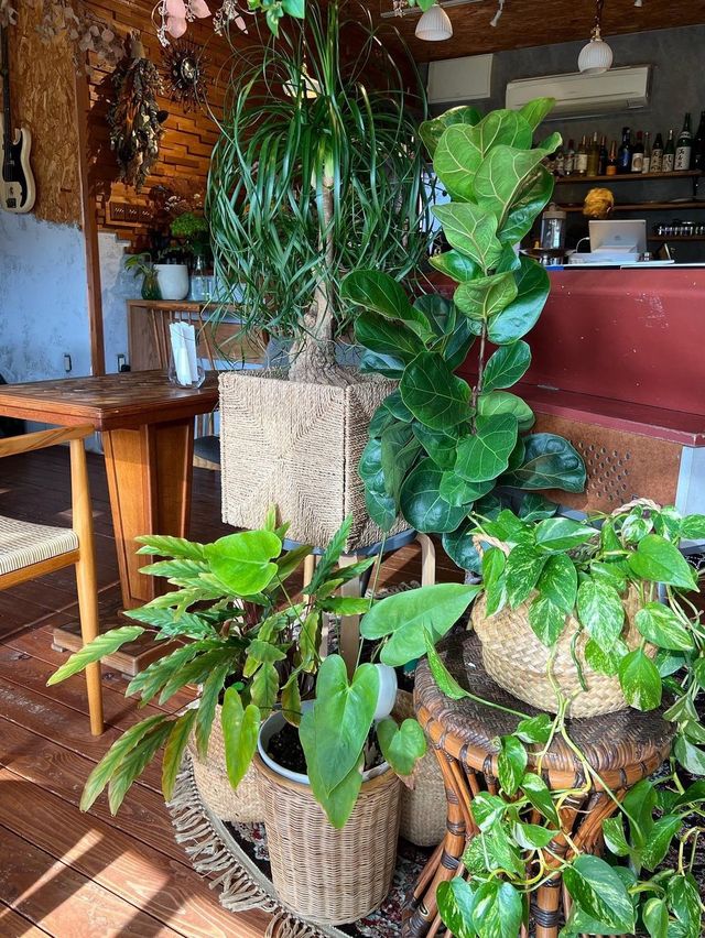 【福岡カフェ】住宅街にあるとっても素敵なカフェ