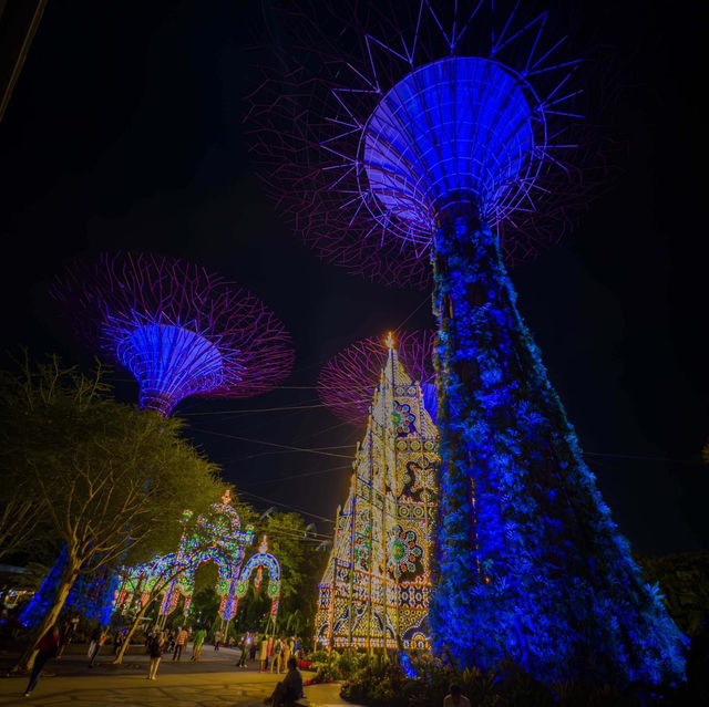 เทศกาลดอกไม้ที่สิงคโปร์ Christmas Wonderland