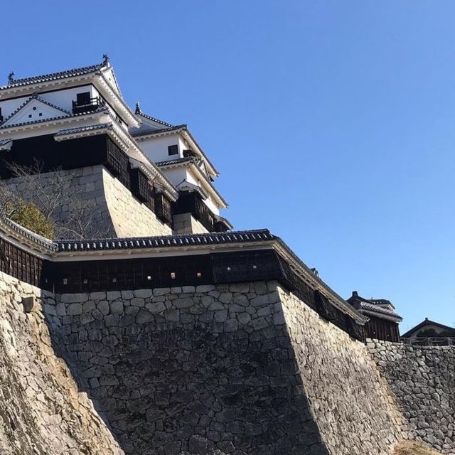 🏯 마쓰야마시의 전경을 한눈에 구경할 수 있는 마쓰야마성💙