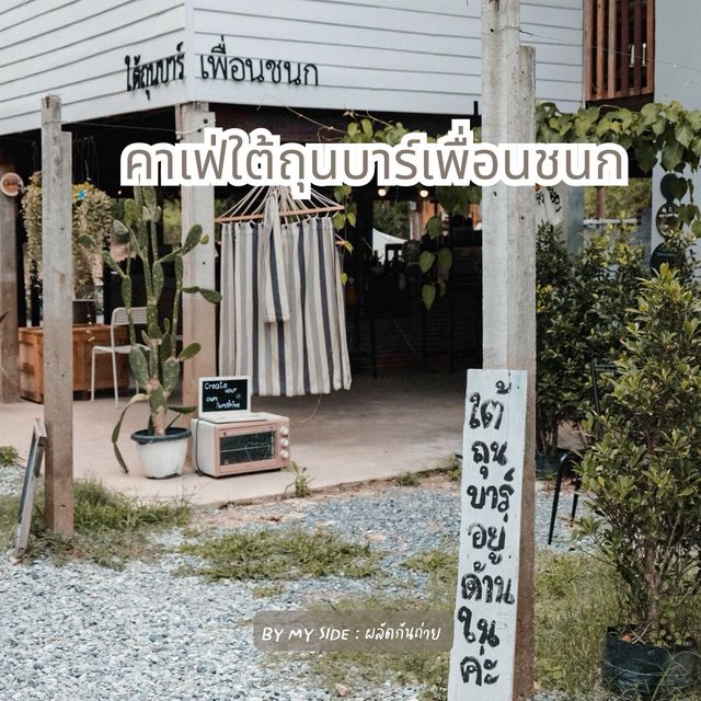 ใต้ถุนบาร์เพื่อนชนก