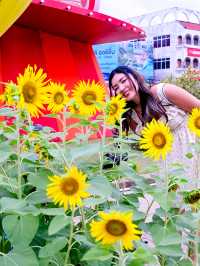 Christmas in Phuket 