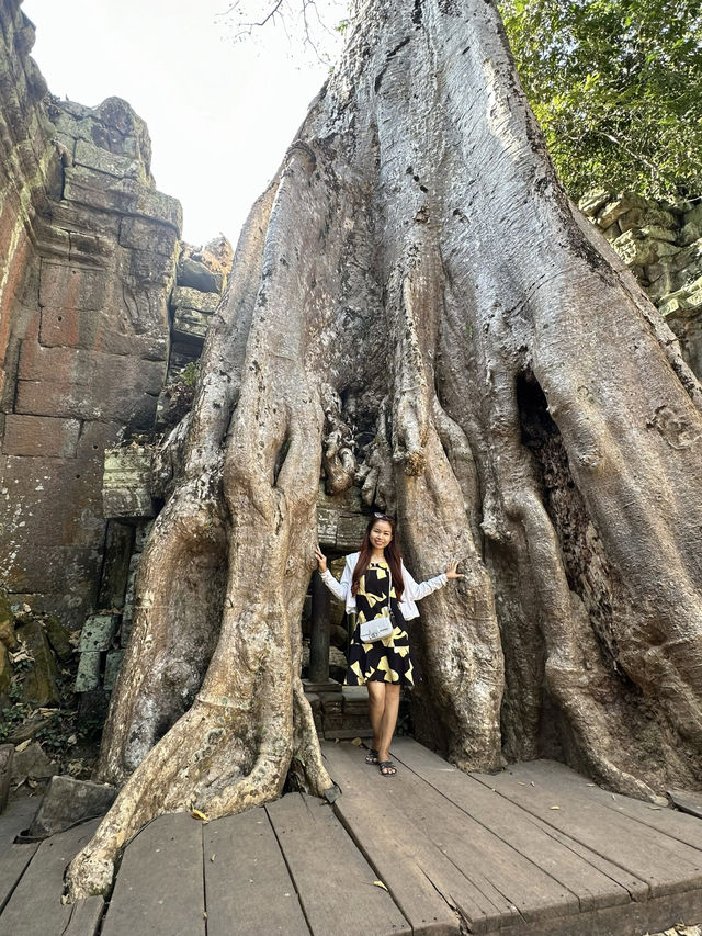 Ta Prohm Temple_in Tomb Rider Movie