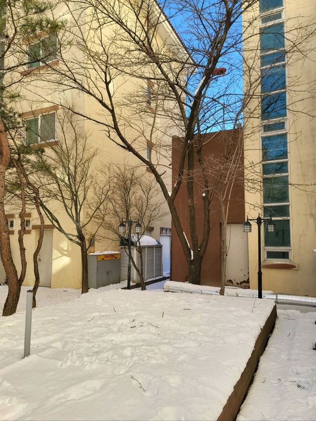 눈뜨면 설경을 볼 수 있는 태백 호텔❄️