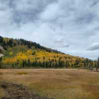 Fall Colors Outside Salt Lake City 