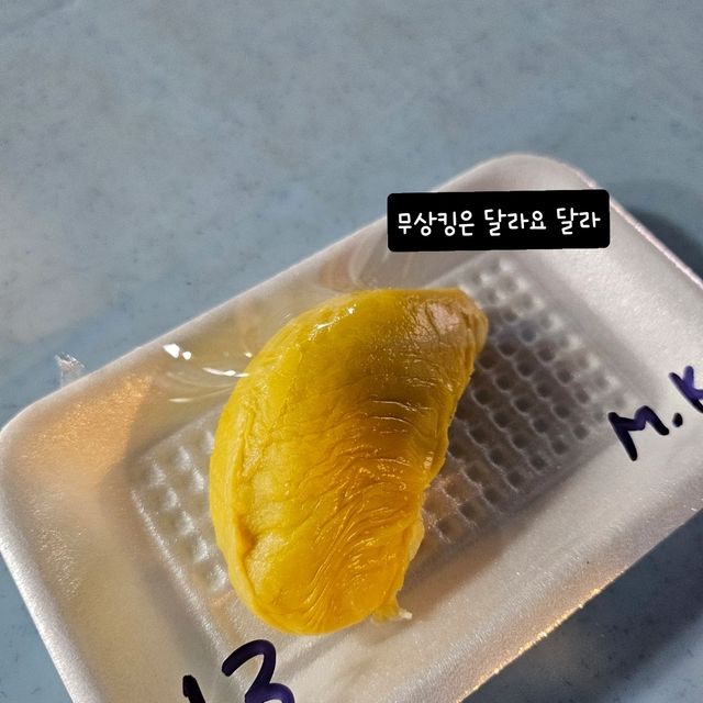 제 2의 고향 정했음