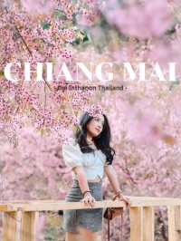 ปักหมุด! จุดชมซากุระเมืองเหมือนอยู่ญี่ปุ่น💕🌸