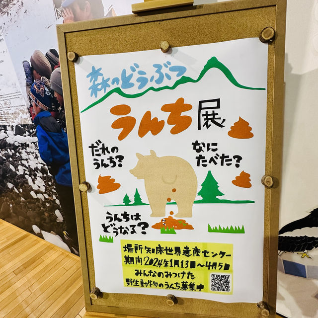 知床世界遺產中心（知床世界遺産センター）