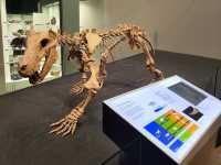 Melbourne Museum