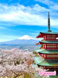 【新倉富士浅間公園/山梨県】ミシュランにも掲載！絶景の桜と富士山