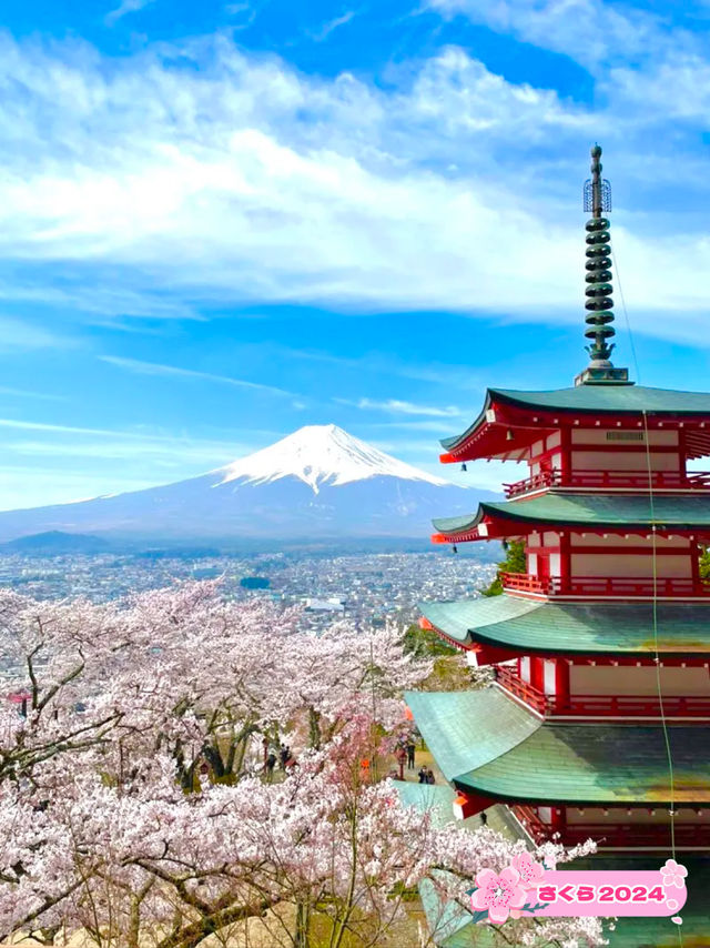 【新倉富士浅間公園/山梨県】ミシュランにも掲載！絶景の桜と富士山