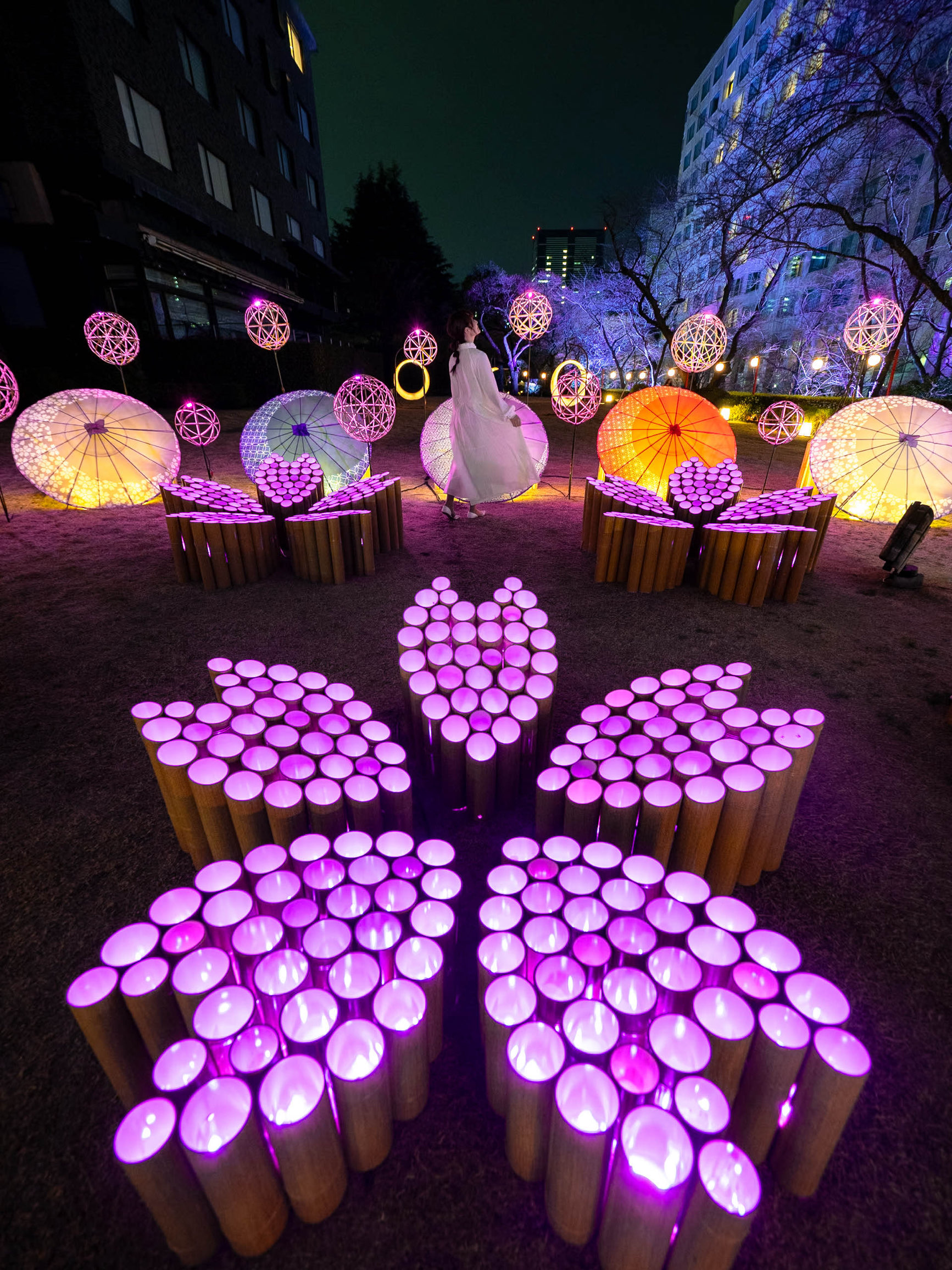 春の竹あかりイベント！🎋】竹あかりで作られた桜の花びらが可愛すぎる