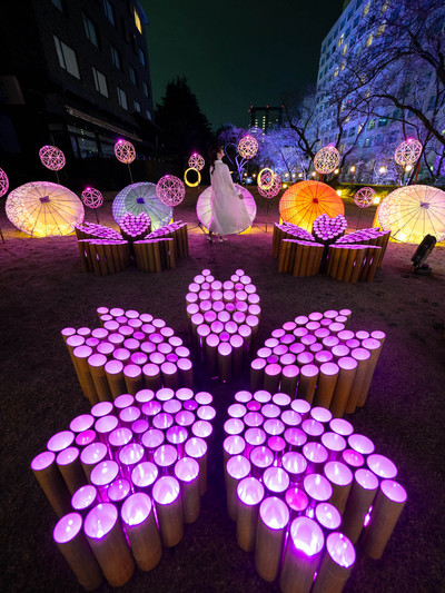 春の竹あかりイベント！🎋】竹あかりで作られた桜の花びらが可愛すぎる
