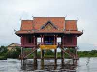 Siam Reap Floating Village: Aquatic Life