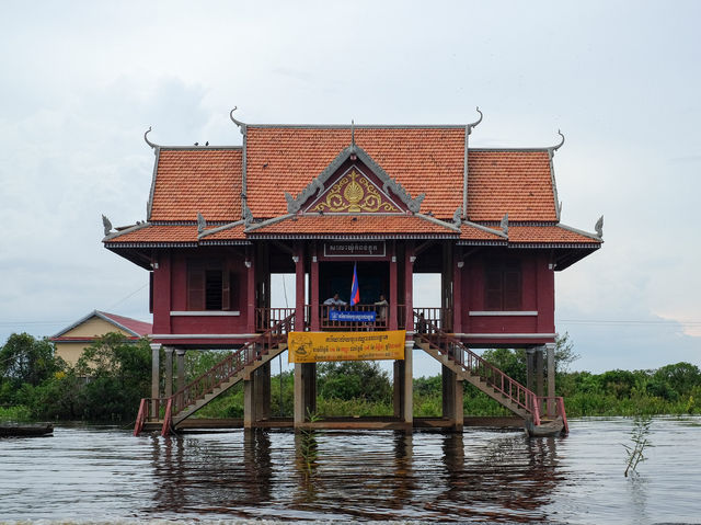 Siam Reap Floating Village: Aquatic Life