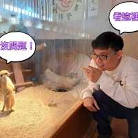 宜蘭綠舞日式主題園區，彷彿飛到日本渡假✨️