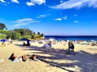 A popular beach in Sydney