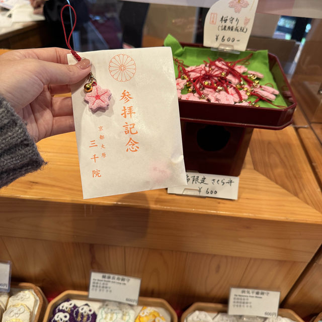 ⛩️🌸京都三千院🍁🚞嵐山小火車