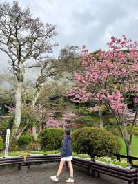 日本別府景點｜有櫻花🌸有鳥居⛩️有地獄😂