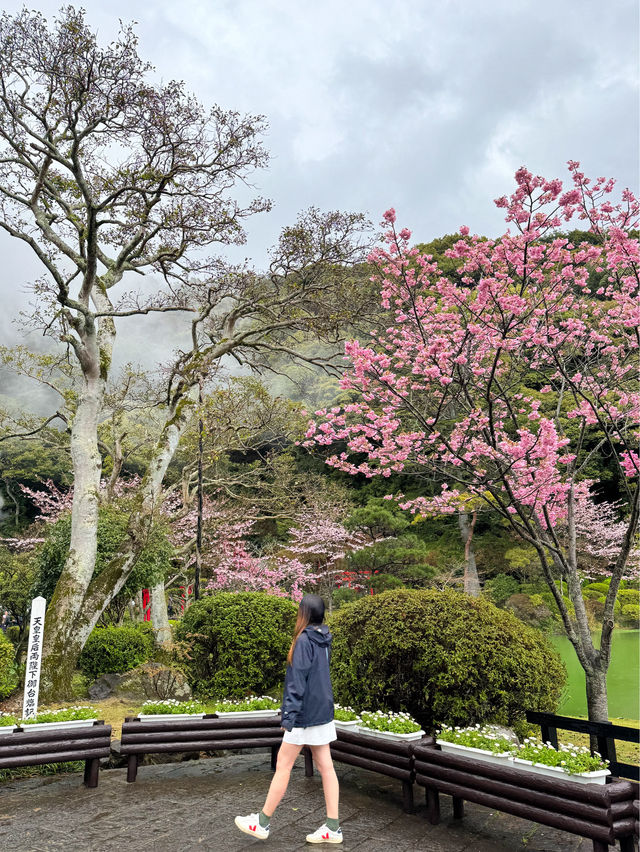 日本別府景點｜有櫻花🌸有鳥居⛩️有地獄😂