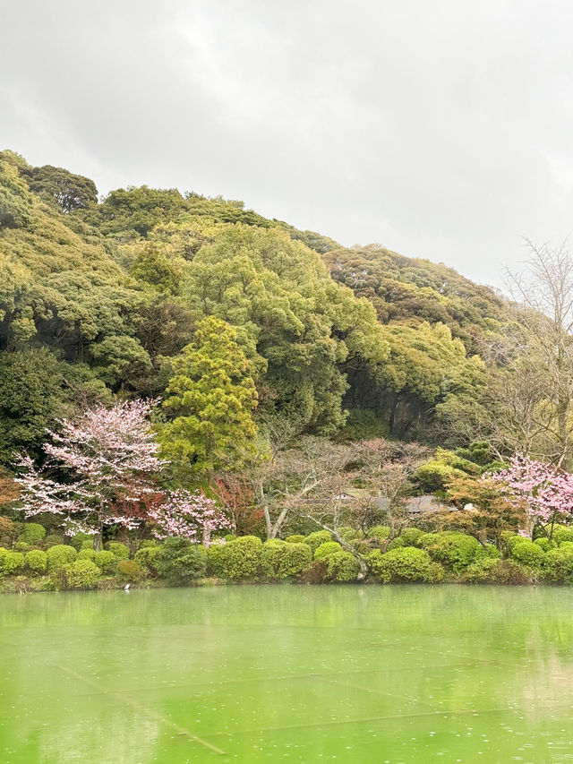 日本別府景點｜有櫻花🌸有鳥居⛩️有地獄😂