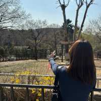 서울대공원 ZOO🐯