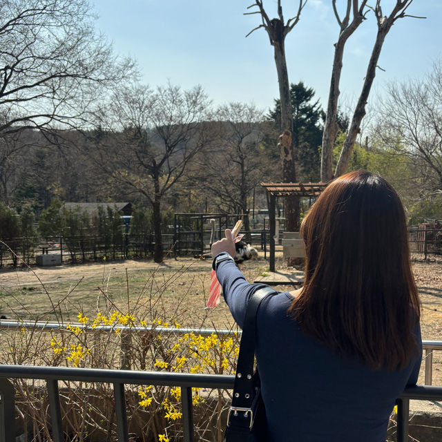 서울대공원 ZOO🐯