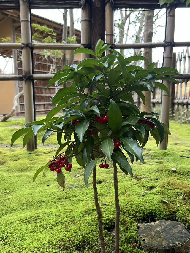【福岡観光】季節の花々や日本庭園が楽しめる施設