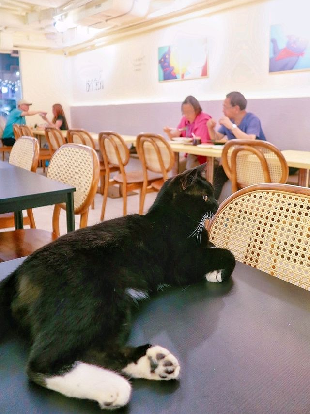 長沙灣新開的田園風素食貓Cafe🐈