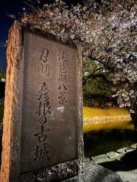 【滋賀】堀の水面に映るリフレクションが素敵すぎるお城の桜