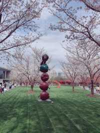 Cherry Blossom @ Jiang'an Sculpture Park
