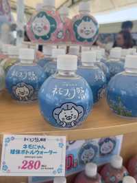  Nemophila Festival งานเทศกาลดอกไม้โอซาก้า
