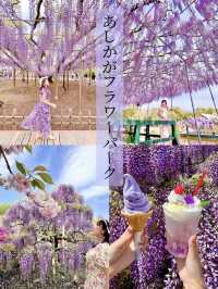 【あしかがフラワーパーク】藤の花の香りに包まれる栃木花巡りはいかが！？