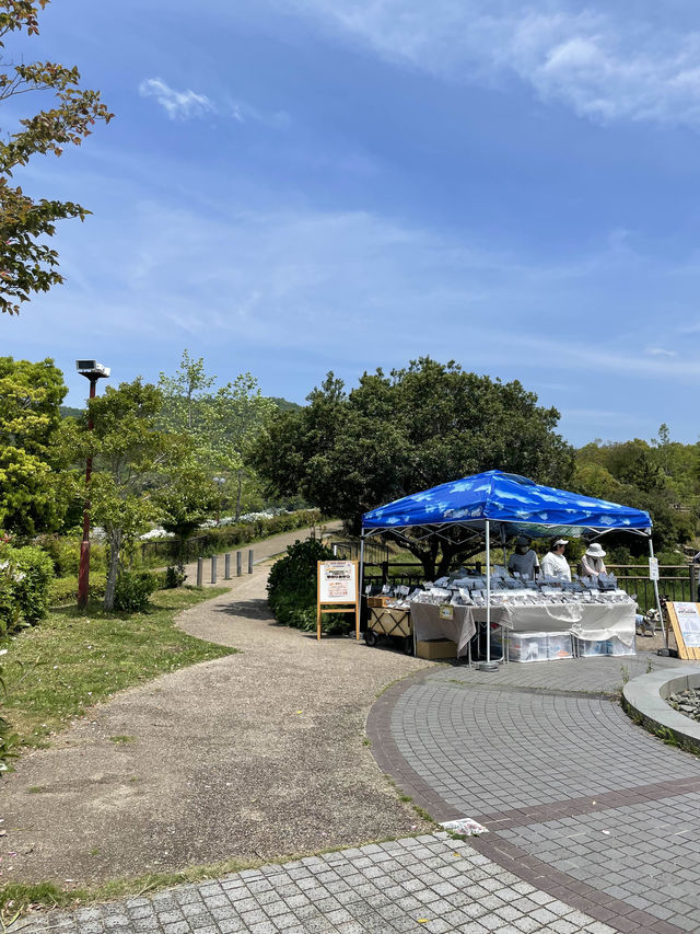 【和歌山県】無料で楽しめる緑豊かな「道の駅　四季の郷公園」