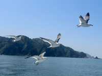 Ferry ride along sasagawa nagare 