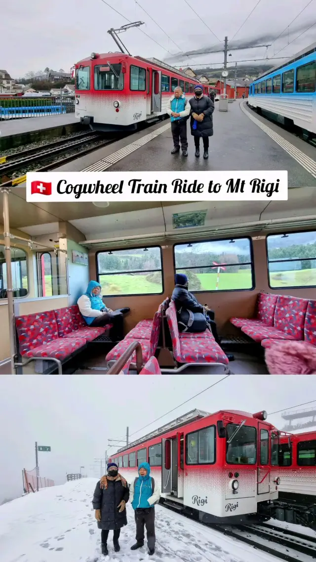 🇨🇭 Cogwheel Train Ride to Mt Rigi 
