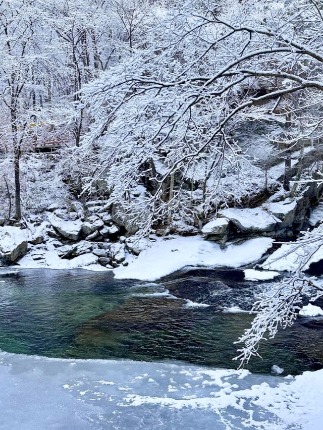 아름다운 한옥정자와 설산, ❄️ 눈 골짜기를 볼 수 있는 🍧 국내 겨울왕국 여행지 추천
