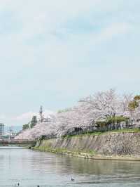 【京都】蹴上〜南禅寺エリアを桜散歩