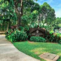 Fort Canning Tree Tunnel