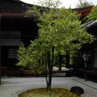 清澄庭園：水墨畫捲般