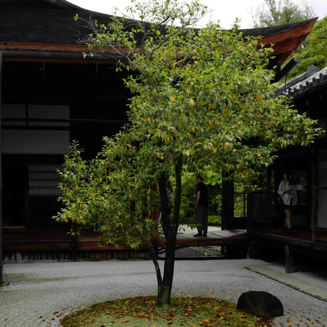 清澄庭園：水墨畫捲般