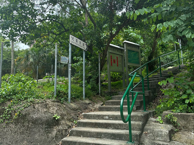 【香港郊遊遊】元荃古道，周末行山好去處～