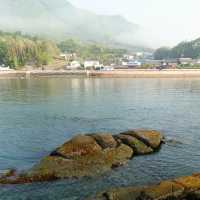 南千倉海岸：極致視覺衝擊力