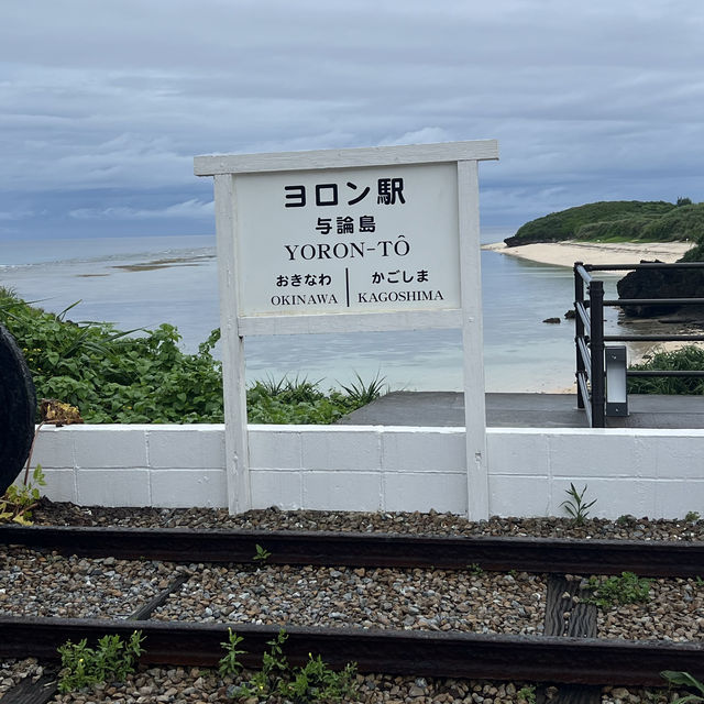 与論島おすすめ🍧ふわふわかき氷屋さん