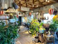 Cafe Hallasan