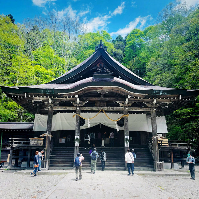 【長野県/ 戸隠の三本杉に囲まれた神秘的な戸隠中社⛩️】