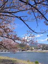 Arashiyama Kyoto🩷เดินเล่นที่อาราชิยาม่า