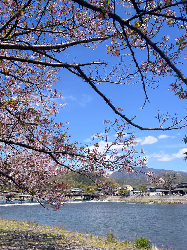 Arashiyama Kyoto🩷เดินเล่นที่อาราชิยาม่า